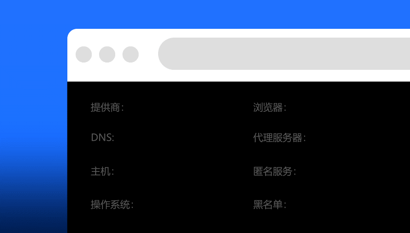 QuickQ IP 与浏览环境伪装演示
